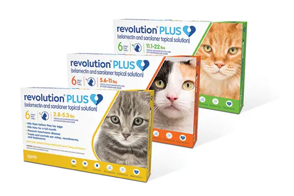 Revolution Plus 1,25 a 2.5 kg